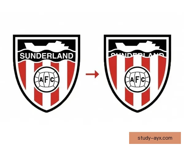 围绕桑德兰俱乐部兴衰历程与未来蓝图全景解析英伦传统与球迷文化观察