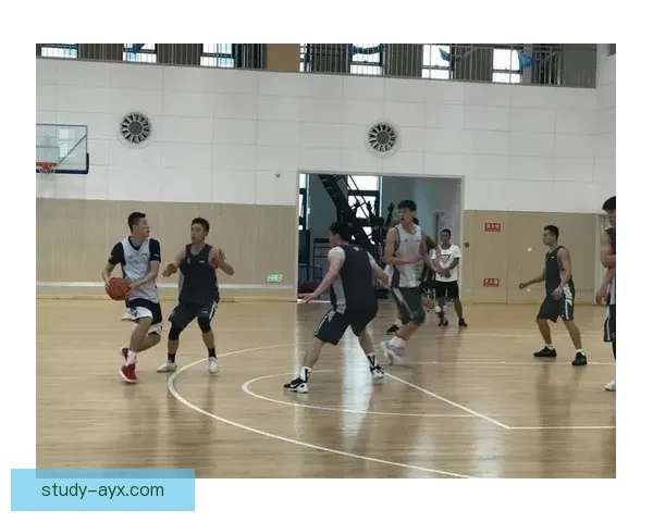 弗罗西诺内俱乐部新赛季备战动态与引援战略全面解析聚焦意甲征程