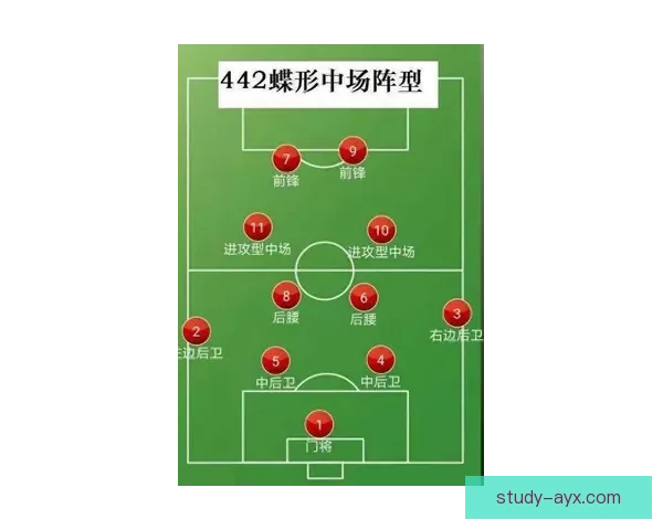国足备战世界杯最新动态球员状态调整与战术部署分析