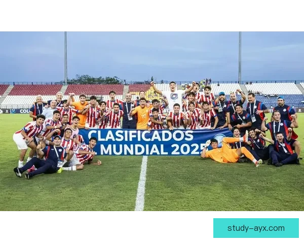 世界杯球队实力深度分析：各队优劣势及前景预测